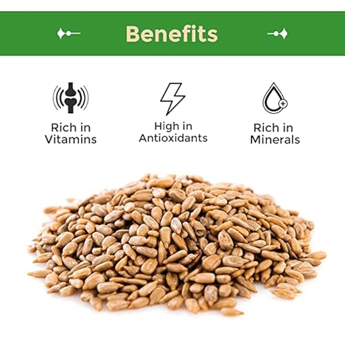 Sincerely Nuts Sunflower Seed Kernels Raw (No Shell) (5Lb Bag) | Delicious Antioxidant Rich Snack | Source Of Protein, Fiber, Essential Vitamins & Minerals | Vegan And Gluten Free #TOP1
