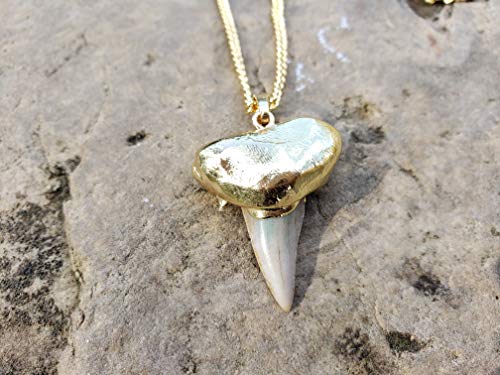 24K Gold Plated Shark Tooth Necklace Rustic Outdoors Sea Surf (GSTN)