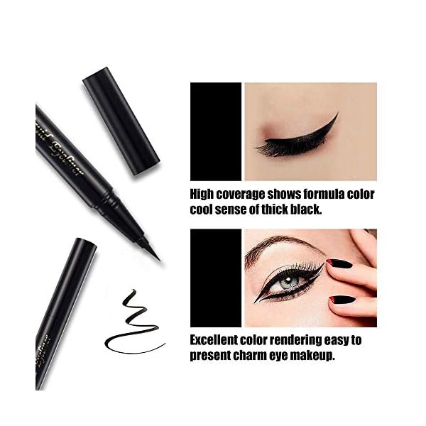 SEILANC Waterproof Liquid Eyeliner Long Lasting&Smudgeproof Eye Liner 2 Packs Precise Eyeliner Pen for All Day with Slim Tip, Black
