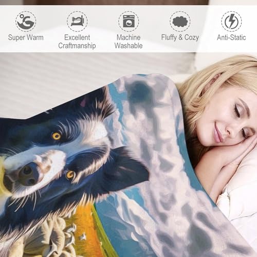 Couverture Chien Flannel Haute Qualité 180×200cm Tissu Épais et Durable - 4
