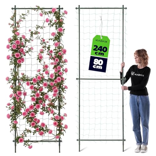 KADAX Rankgitter 80 x 240 cm Rosengitter aus beschichtetem Metall Rankgerüst Rankhilfe für Rosen Clematis & Kletterpflanzen Rosenspalier Sichtschutz für Garten