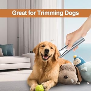 Dog-Clippers-Grooming-Kit-Hair-Clippers-with-Nail-Grinder-Set-4-in-1-Cordless-Electric-Trimmer-Low-Noise-Paw-Trimmer-USB-Rechargeable-Quiet-Nail-Grinder-Shaver-for-Cats-and-Other-Pets-Sliver - Cucciolini Doodles   Dog-Clippers-Grooming-Kit-Hair-Clippers-with-Nail-Grinder-Set-4-in-1-Cordless-Electric-Trimmer-Low-Noise-Paw-Trimmer-USB-Rechargeable-Quiet-Nail-Grinder-Shaver-for-Cats-and-Other-Pets-Sliver