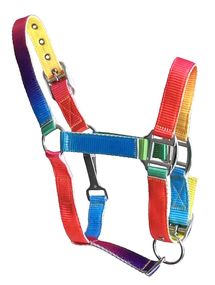 Equitem Pony Size Neon Rainbow Nylon Halter with Adjustable Nose and Crown, USH-5244P