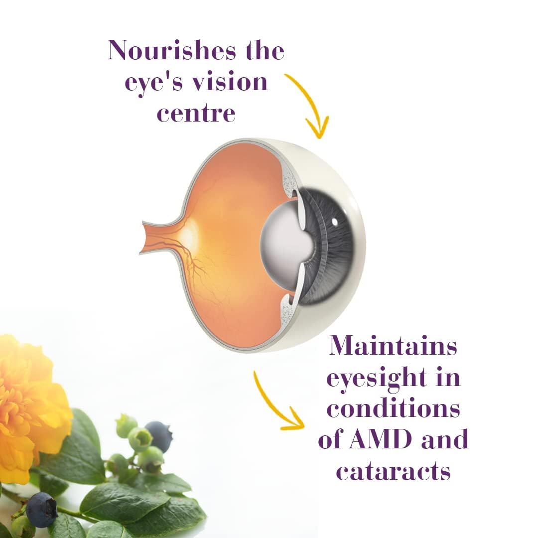 NEW NORDIC Blue Berry Eye Vitamin Lutein Supplement with Zinc, Supports Macular Pigmentation, Eye & Vision Function, 60 Tablets (Pack of 1)