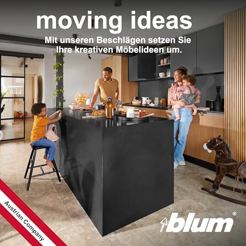 Blum 2 x CLIP top Möbel Scharnier 110°, gerade mit Feder, Eckanschlag + BLUM CLIP Exzenter Kreuzmontageplatte, Stahl, Schraubvariante, Distanz 0 mm, Topfband ø=35mm
