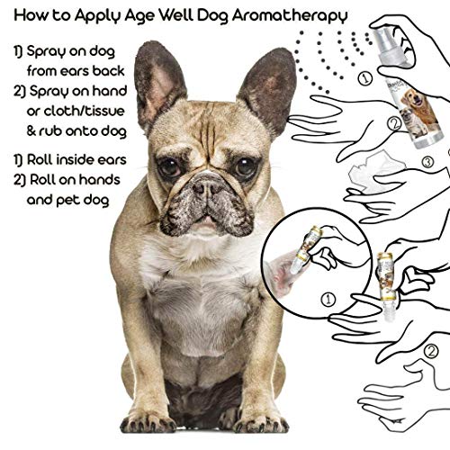 Image of The Blissful Dog French Bulldog Age Well Dog Aromatherapy