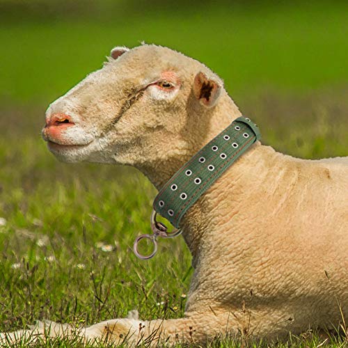 Angoily Colarinho Vaca Bezerro Ovelhas para O Pescoço Do Cavalo Gado Pecuária Alimentação (Verde)