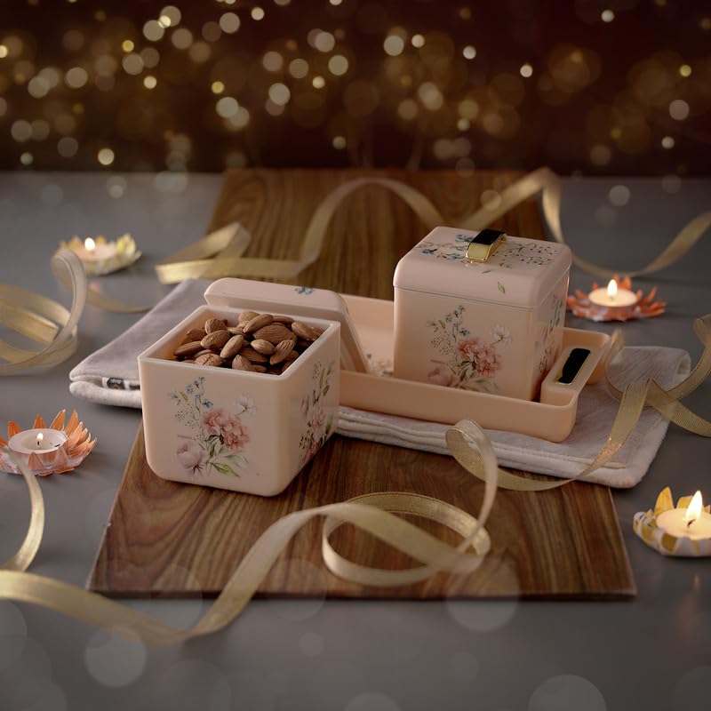 Image of Nayasa Miracle Dry Fruit, 2 pcs Container Serving Tray Set | 600 ML Each | Multipurpose Plastic Serving Set | Premium Design | BPA Free | Food Grade | Air-Tight Lid | Snack Organizer Tray | Beige