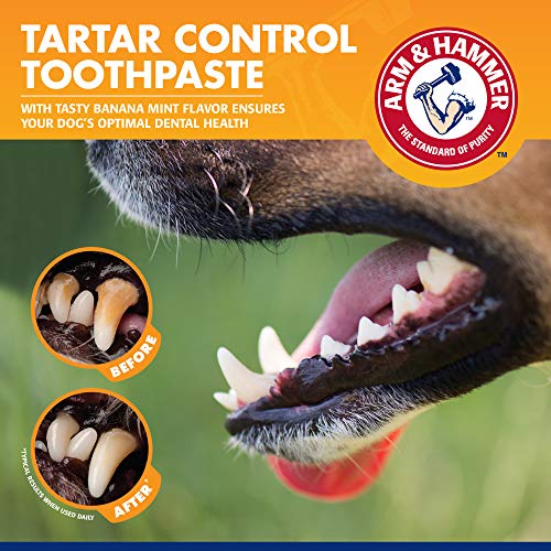 Image of Arm & Hammer for Pets Tartar Control Dog Dental Care Kit Banana Mint Flavor Toothpaste Double-Sided Toothbrush Finger Brush 2.5 OZ 3-Piece 48 Pack