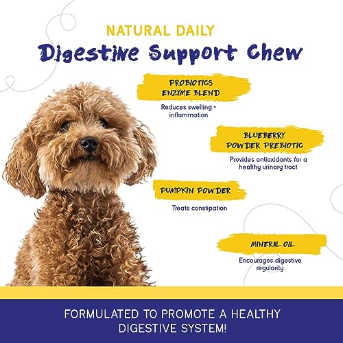 Pupgrade Digestive Support Chews For Dogs - Prebiotic And Probiotic Supplement With Enzyme Blend thumb #4