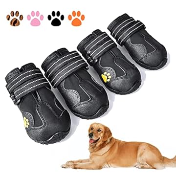 best dog shoes for heat