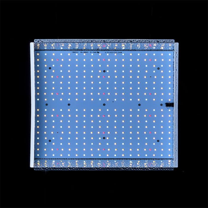 Amazon.co.jp: 植物育成ライト ソダテック LED グロウライト 高出力