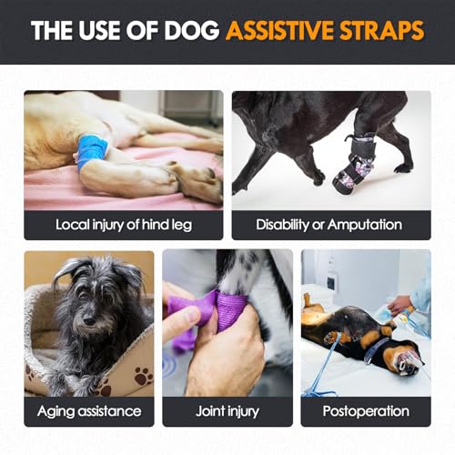 PAWIVID Verstellbares Hundegeschirr für Hinterbein–Stützgeschirr/Schlaufe mit Tragehilfe &Griff für Behinderte, Verletzte & ältere Kleine Mittlere Große Hunde–Mobilitätshilfe & Hebegurt (Grau, M)