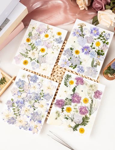 120 flores secas prensadas de hortensia para manualidades miniatura 3