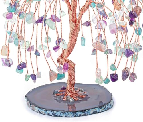 Arboles Decorativos, Home Imagen adicional