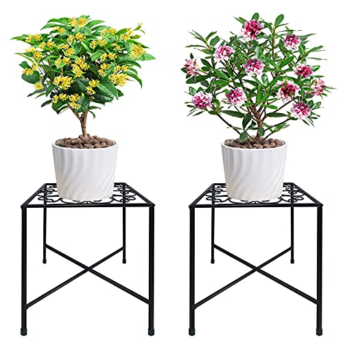 Best Wire Stands For Plants
