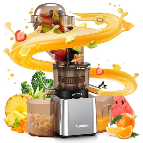 Flyseago 300W Commercial Cold Press Juicer