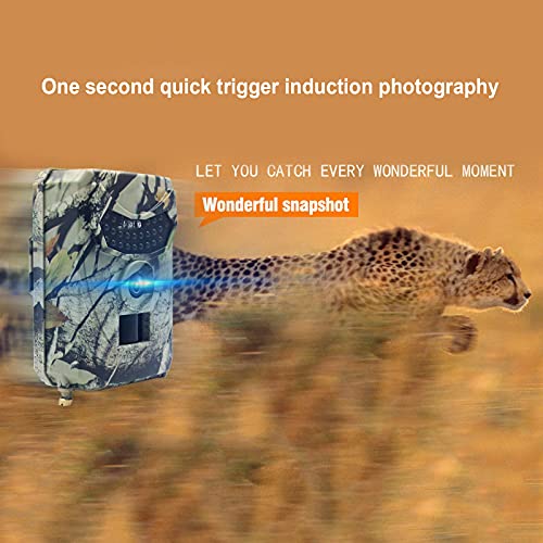 LifBetter Wildkamera Jagdkamera 12 MP HD 1080P PIR IR Wildlife Scouting Cam Nachtsicht wasserdichte Kamera zum Schießen… – Bild 6