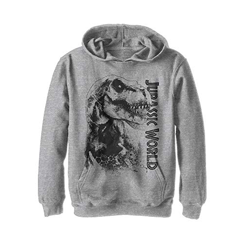 Jurassic World Boys' Hooded Sweatshirt » The Baby Dinosaur