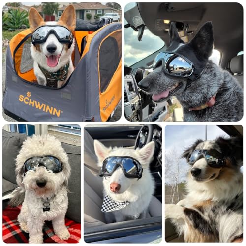 NAMSAN Sonnenbrillen für Hunde Einstellbar Hundebrille Wasserdicht Winddicht Hunde Motorradbrille Schutzbrille -Schwarz