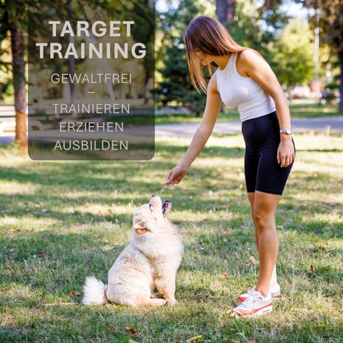 ASCO Target Stick - Target Stab für Hunde Katzen Targettraining - Targetstick ausziehbar mit Softball - Edelstahl Targetstab mit Teleskopfunktion, schwarz