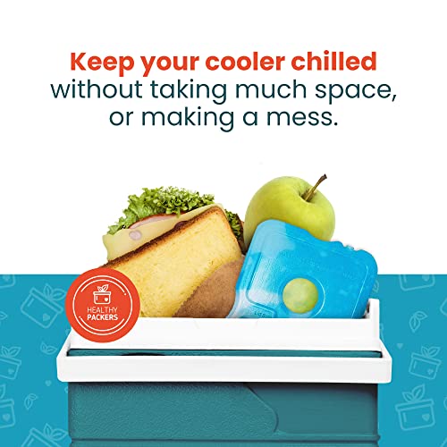 Healthy Packers Ice Packs for Lunch Boxes & Coolers - Freezer Packs - Original Cool Pack | Cooler Accessories for Beach, Camping & Fishing | Slim & Long-Lasting Reusable Ice Pack for Cooler