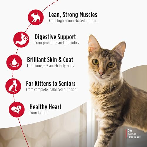 Nulo Freestyle Cat & Kitten Dry Food - Chicken & Cod Recipe, High Protein Grain Free Cat Food, Natural Kibble with Probiotics & Omega Fatty Acids, 14lb Bag - Image 4
