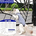kzrfojy Cat Surgery Recovery Suit Cat Onesie for Cats after Surgery Spay Surgical Abdominal Wound Skin Diseases E-Collar Alternative Wear (Grey-blue-M) - Image 2