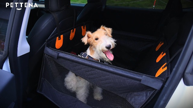 Amazon.co.jp: PETTENA 犬 ドライブボックス 小型犬 後部座席