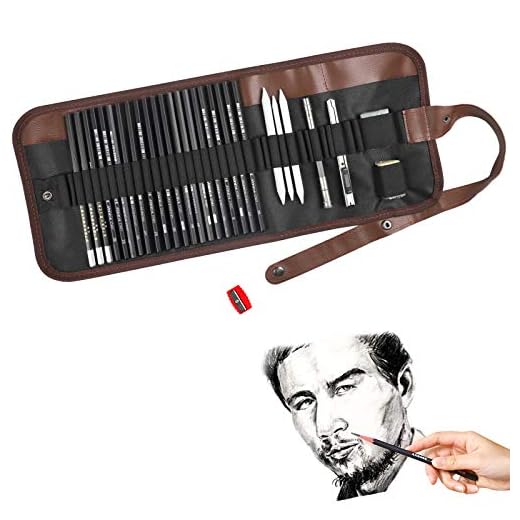 Set de Dibujo Profesional, Lapices Artísticos, 29 Piezas, Kit de Artista con Lápiz Carbón Grafito de Madera, para Estudiantes Artistas Niños Adultos Principiante