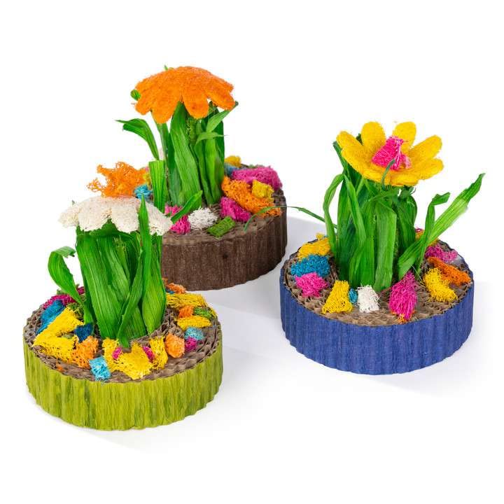 Succulent MiniGarden Pet Hideout Pack of 3