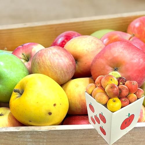 | YnI i킨܂ 󂠂  10kg(Hp)