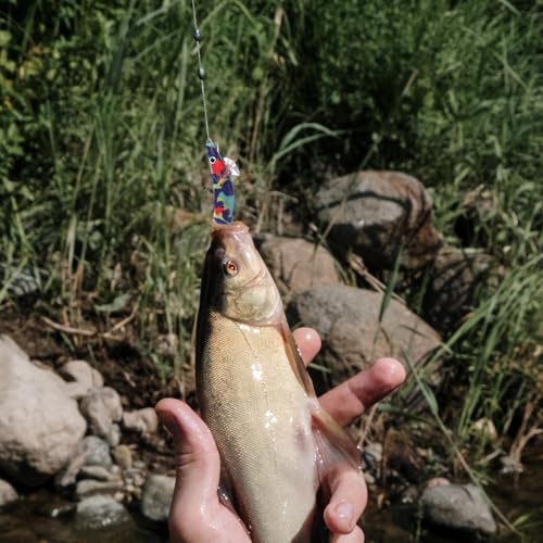 Tintenfischköder | Tintenfischköder | Garnelenhaken aus Holz mit Leuchteffekt | Flexibles Schwimmen, realistische für Dorsch, Zahn, Schlangenkopf, Tintenfisch, Barsch