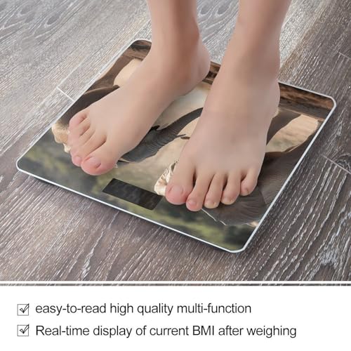 Balanza Digital para Baño de Vidrio Templado 400lb miniatura 5