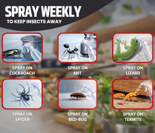 Image of Amish Aerosol All In One Insect Repellent Spray 200ml Pack Of 1 | nsect Control Spray |For Ant, Cockroach, Rat, Lizard, Bed Bugs, Spider, Fly, Centipede, Mouse, Bed Bugs 100% Natural