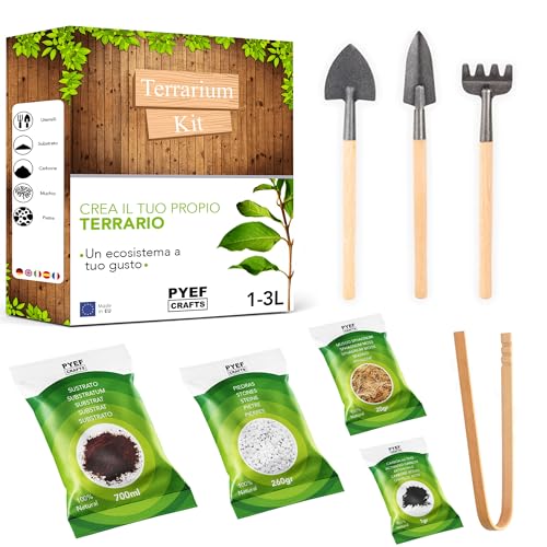 Terrario Kit DIY Ecosistema Autosufficiente M