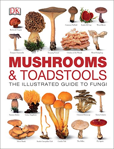 Mushrooms & Toadstools: The Illustrated Guide to