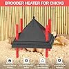 Tiflev Chick Brooder Heating Plate with Anti Stand Cone, Adjustable Height Brooder Heater for Chicks, Downward Heat Distribution for Outdoor Barns & Coops (10" x 10" Black) #5