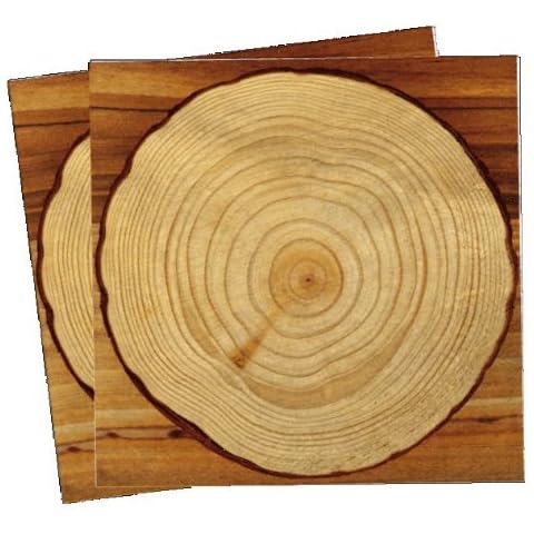 DH-Konzept 20 Papierservietten im * Holz Design * Cover