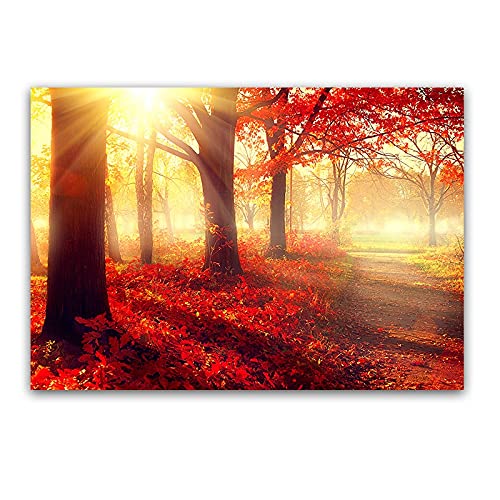 Kit Diamant Peinture 5D Forest at sunset grand format pour broderie point de croix