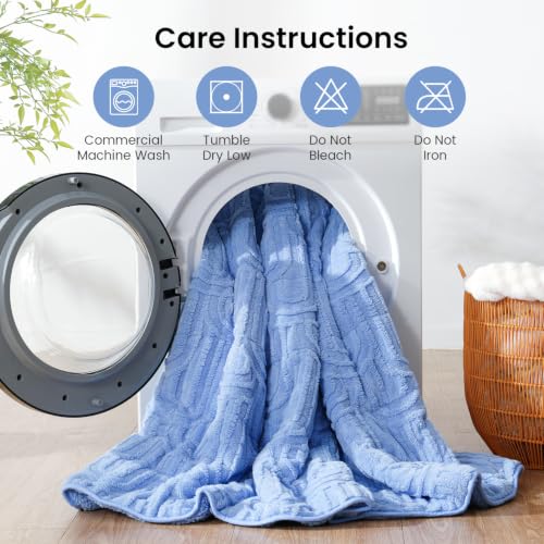 Image of Drewin Weighted Blanket for Adults Queen Size 15lbs, Soft Cozy Turtleback Sherpa Weighted Blankets for Sleeping and Calming, Thick Bed Blanket for Couch Bed, 60 x 80 inches, Sky Blue