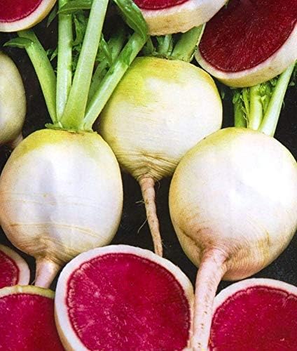 Miniatura 4 de Vegetal Daikon Pink Glitter Misato Rábano Heirloom - 300 Semillas