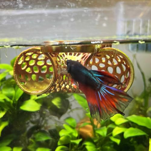 Image of Floating Betta Tunnel for Betta Training. Interactive Training & Enrichment Toy for Betta Fish - Stress Relief & Exercise Accessory, Floating Betta Fish Toys