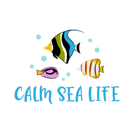 Calm Sea Life Underwater wondersAmazon.co.ukAppstore for Android