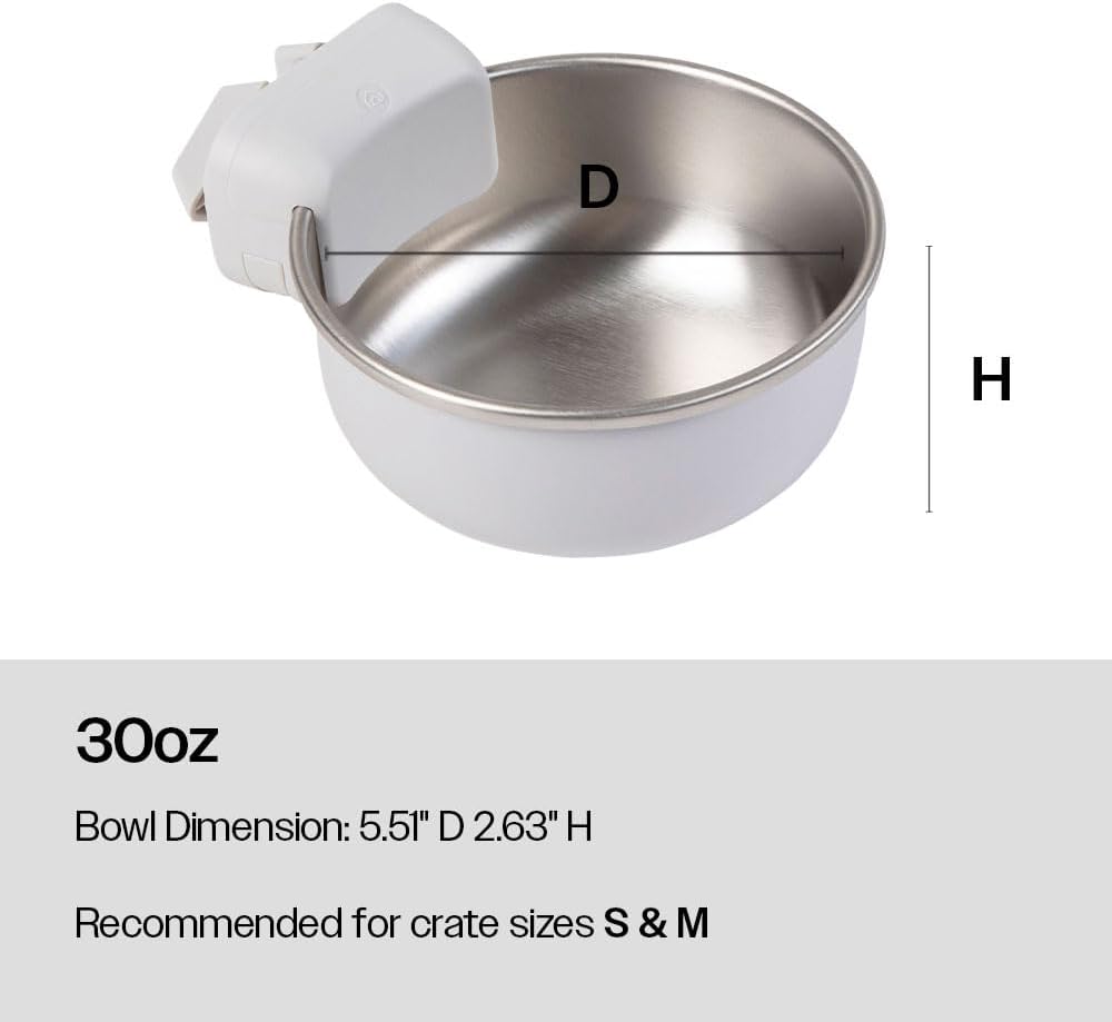https://m.media-amazon.com/images/I/510fKoiVYAL._AC_SL1000_.jpg