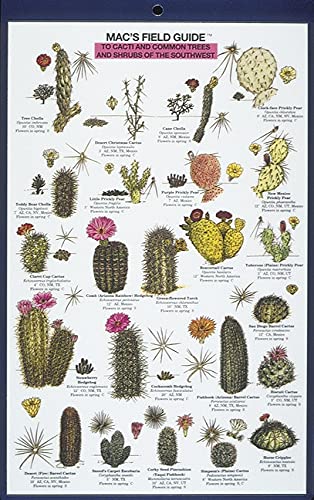 Mac's Field Guides: Southwest Cacti, Shrubs, Trees (Mac's Guides (Paperback))