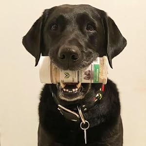 Vetriscience Perio Support Cat  Dog Teeth Cleaning Dental Powder 42oz  Cat  Dog Breath Freshener  Clinically Proven Plaque and Tartar Support  Cucciolini Doodles Vetriscience perio support cat  dog teeth cleaning dental powder 4 2oz  cat  dog breath freshener  clinically proven plaque and tartar support   cucciolini doodles