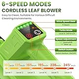 Zoom IMG-2 soffiatore a batteria 6 velocit Zoom IMG-2 soffiatore a batteria 6 velocit