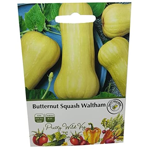Butternut Squash Waltham Seeds from Pretty Wild Seeds Cover