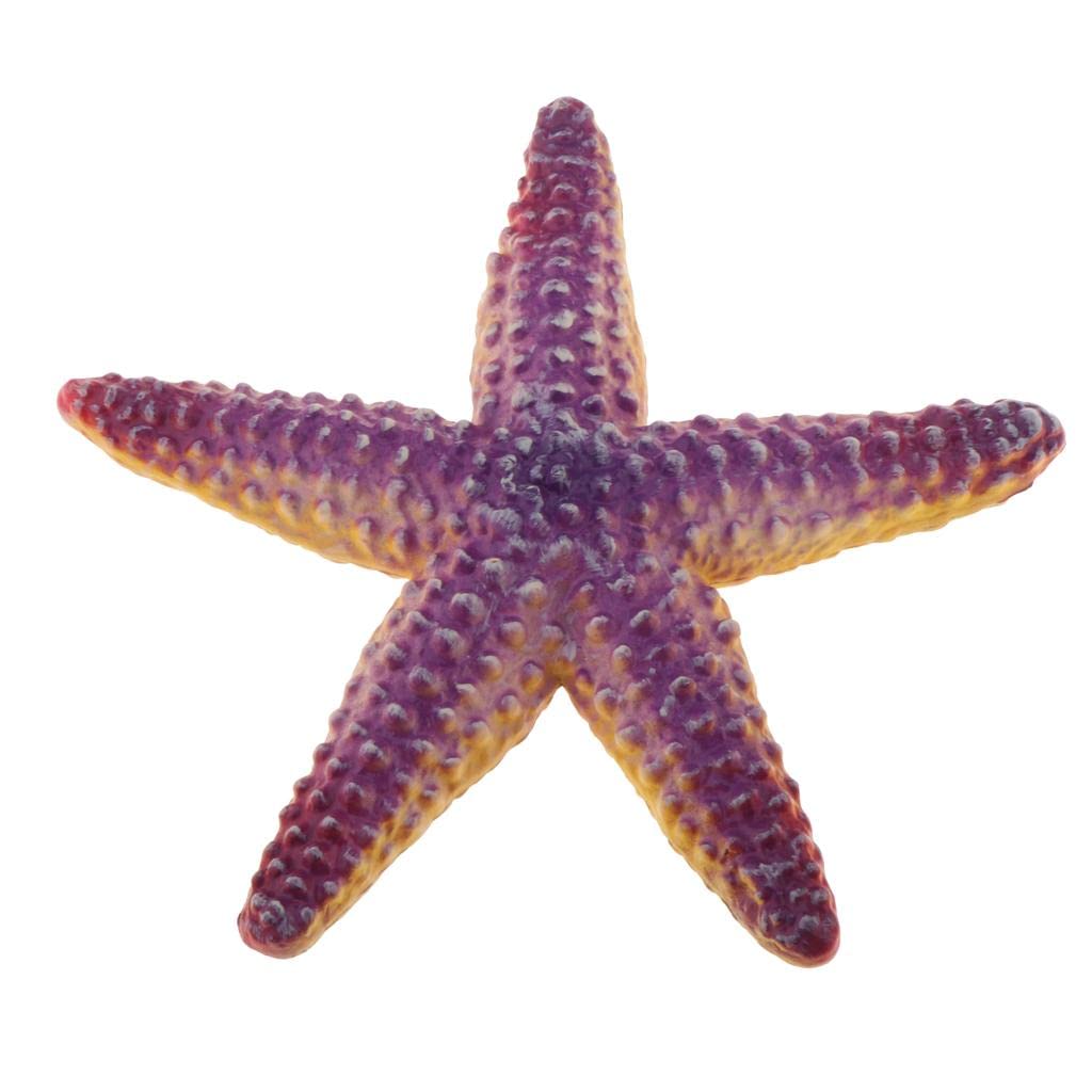 See full amazon price history chart for UJEAVETTE Realistic Static Ocean Animal Model Toy Kids Gift Starfish UJEAVETTE Realistic Static Ocean Animal Model Toy Kids Gift Starfish (B0DHRKFB9X) Amazon Price History, Amazon Price Tracker